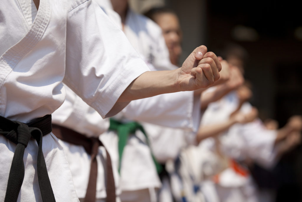 Understanding the Difference Between Martial Arts Styles ShinGane Aikido St. Louis