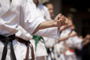 image of martial art fighters lined up — difference between martial arts styles
