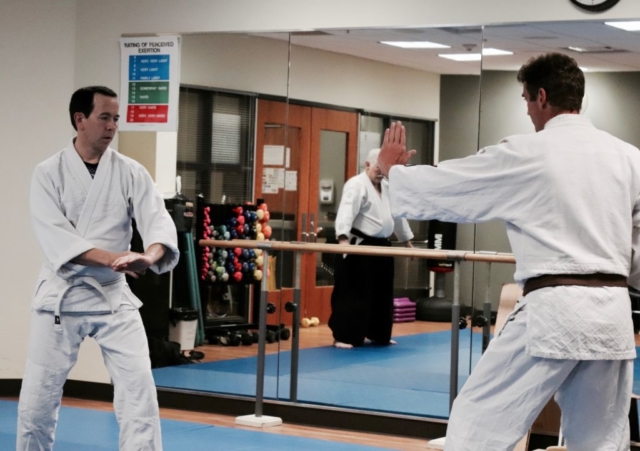 Aikido Training