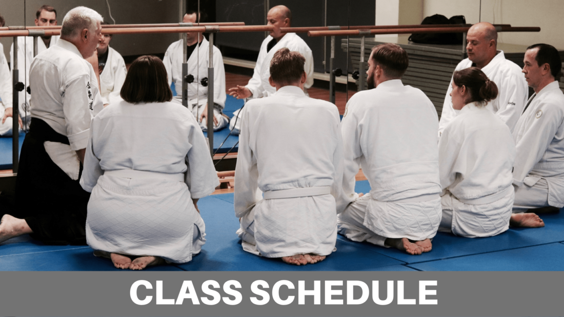 students participating in an aikido class